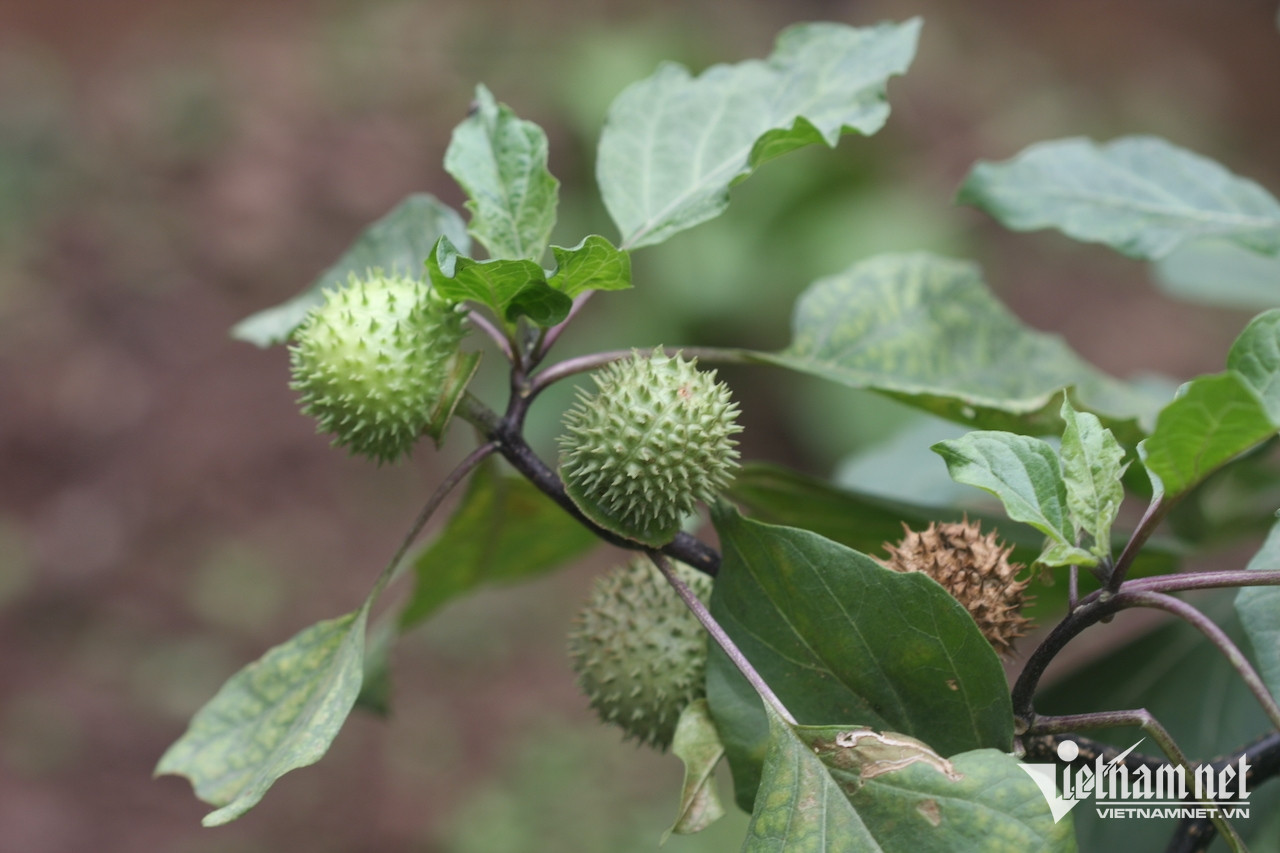 W-e74f2950 7394 43bc b441 c343ee65edf7.jpeg