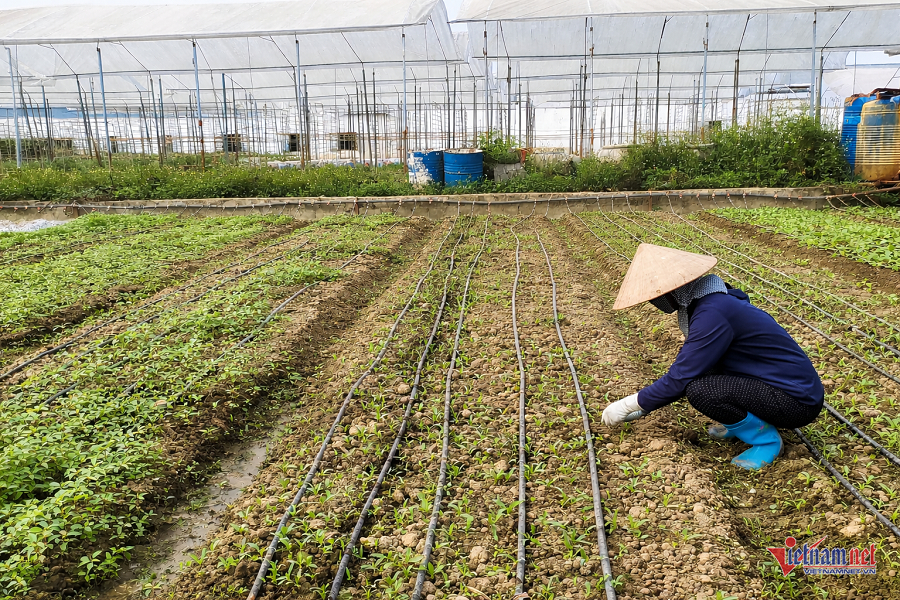 W-e95662c3 b46a 4648 9b56 e1ab72fca238.png