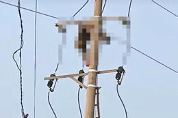 a duong dien 419.jpg