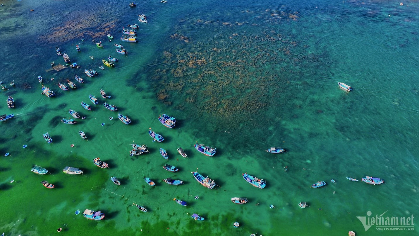 Gia Lai_Ảnh số 2.jpg