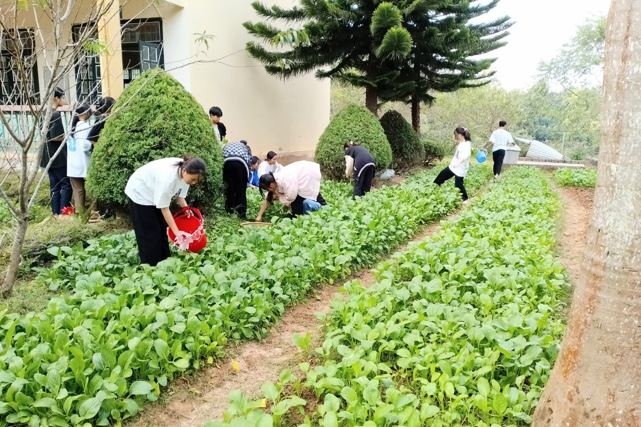 Nông Cống: Đẩy mạnh truyền thông, nâng cao nhận thức về an toàn thực phẩm