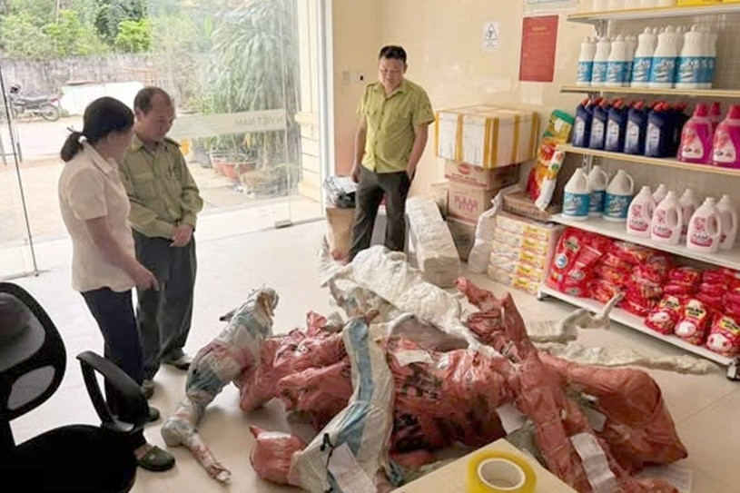 Tạm giữ 15 phôi cây muội hồng được tập kết tại bưu điện xã ở Thanh Hóa