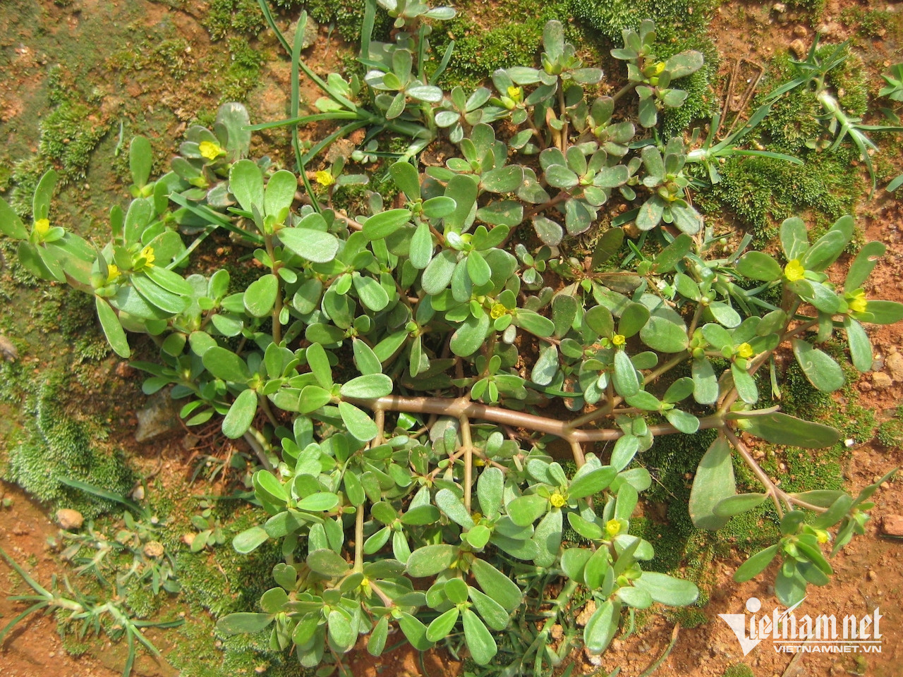 W-7b4cf292 a683 4112 a3f5 4f40558bb1a5.jpeg