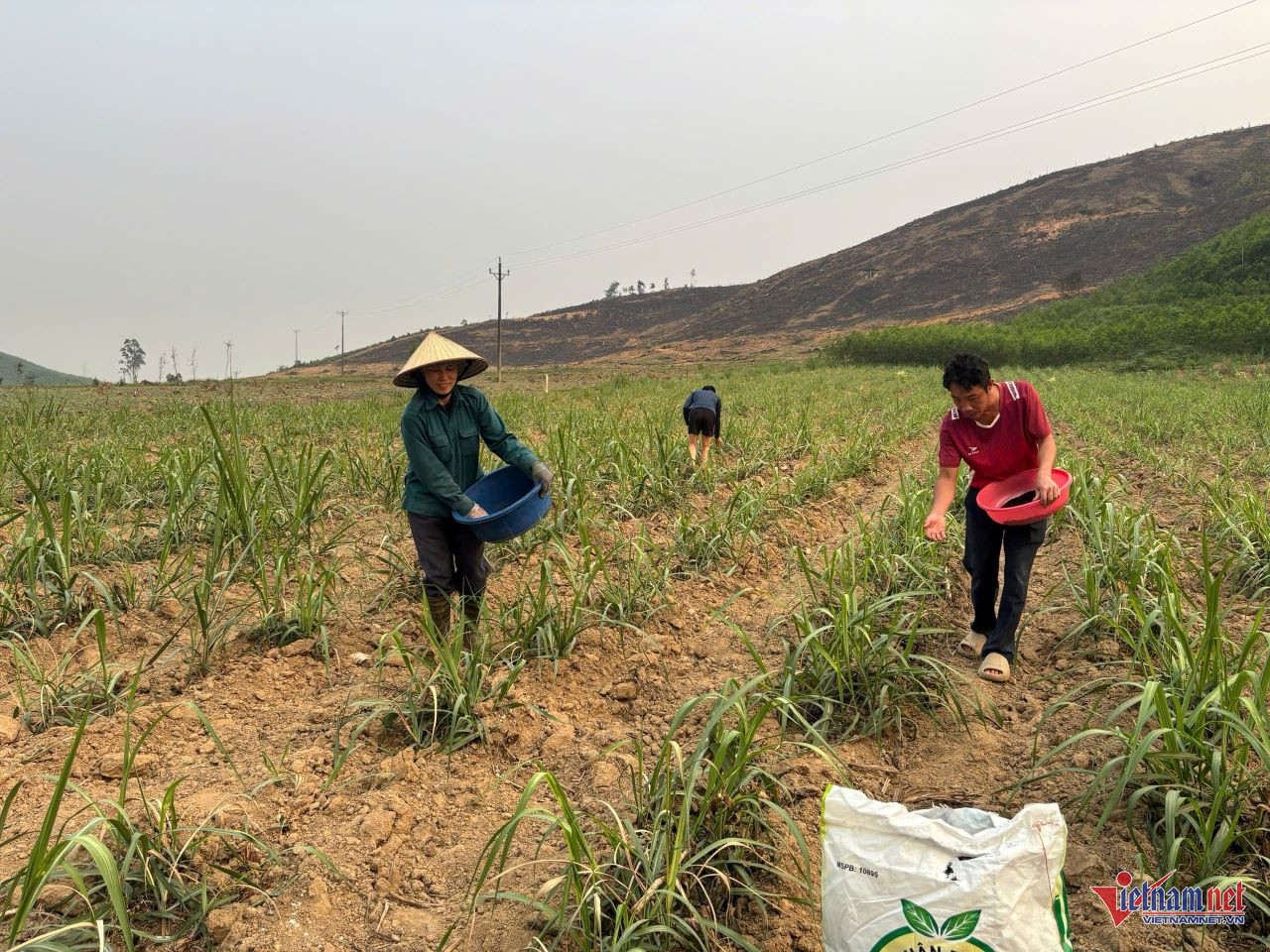 W-anh bai thnah ky ok.jpg