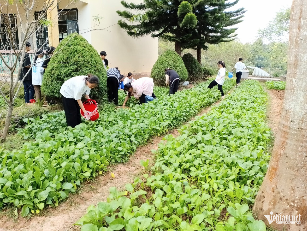 W-anh tin xa nong cong.jpg