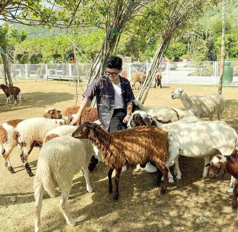 Hinh3_Mỗi sinh vật đều có một câu chuyện riêng, hãy cứ bước đi và tận hưởng những điều.jpg