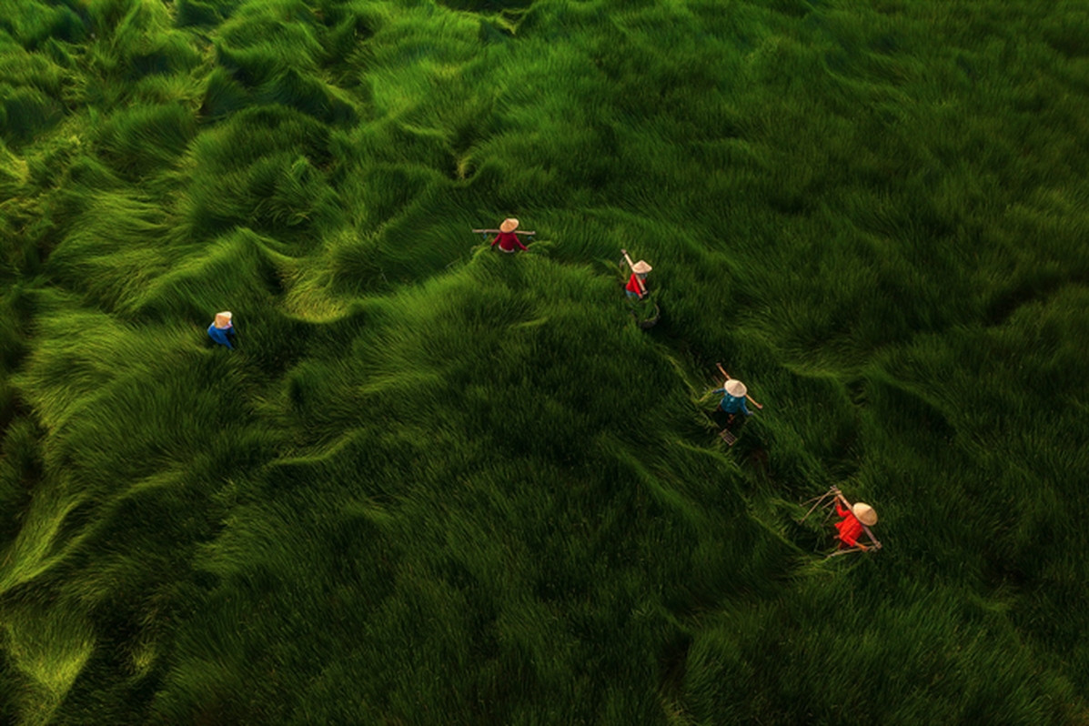  Việt Nam khẳng định vị thế trên bản đồ nhiếp ảnh quốc tế 