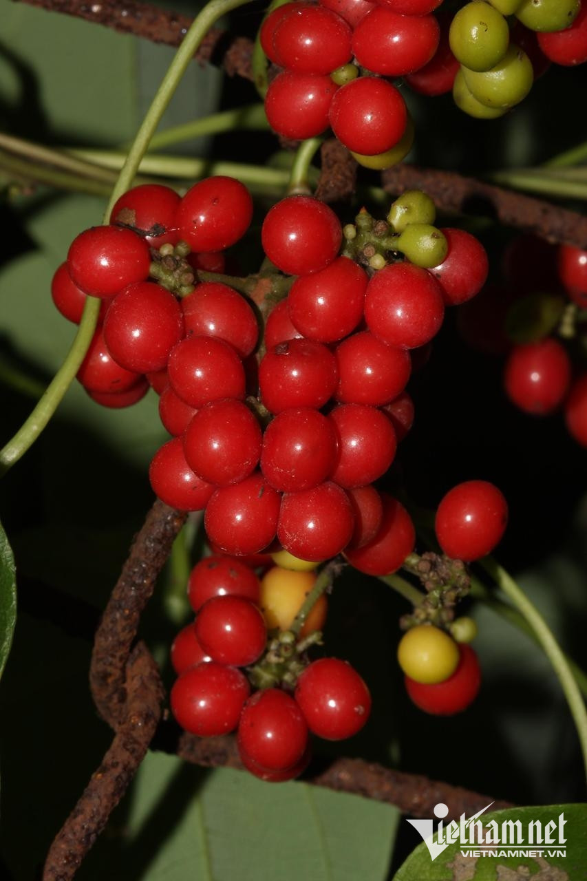 W-92f79640 7c59 4beb be5b 57095ad3517b.jpeg