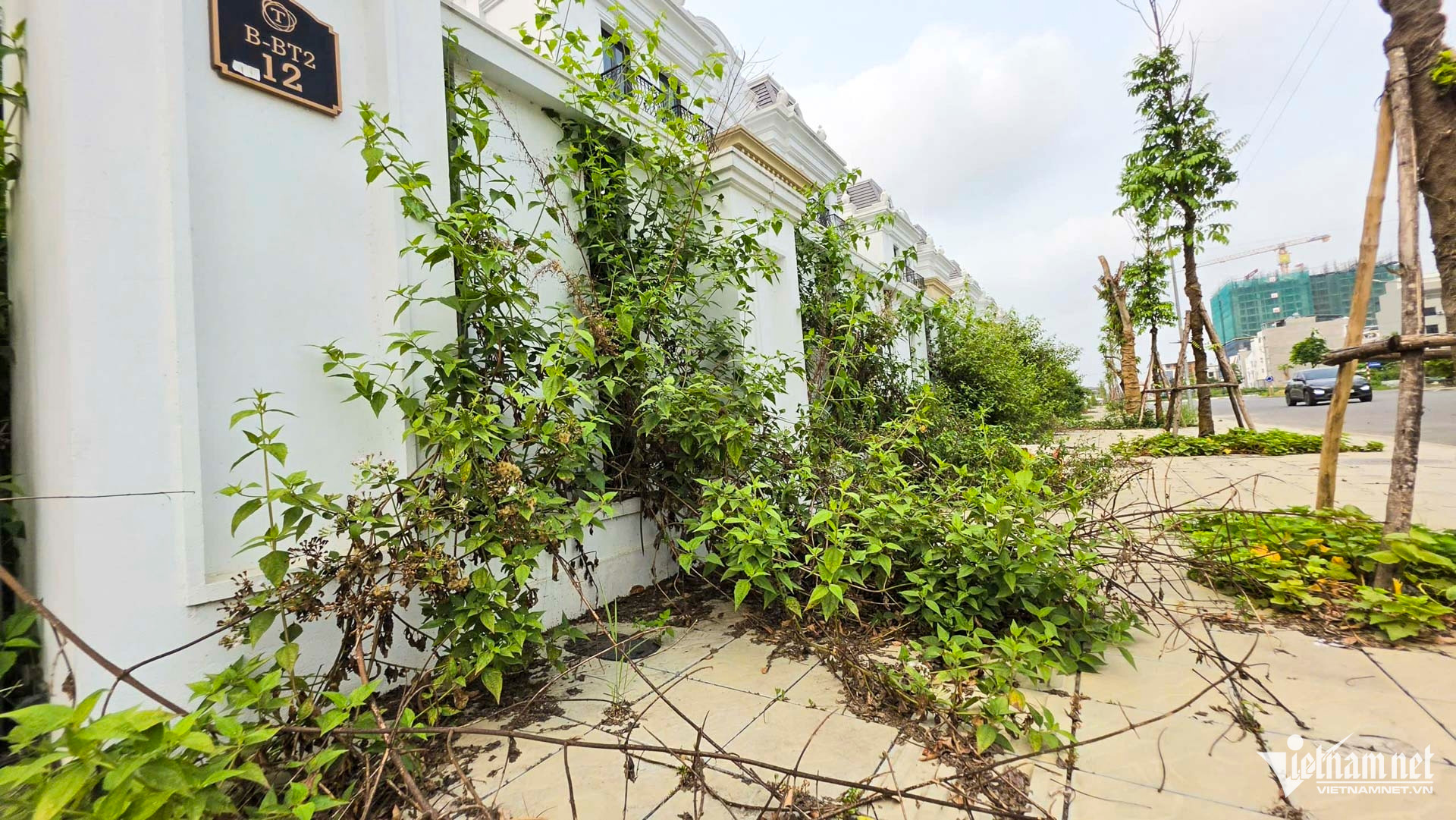 W-Biệt thự bỏ hoang ở phố đi bộ Bắc Giang_41.JPG.jpg