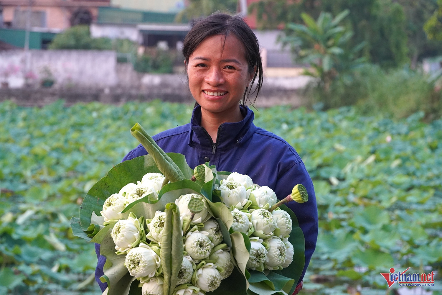 W-sen quê Bác 10.JPG.jpg