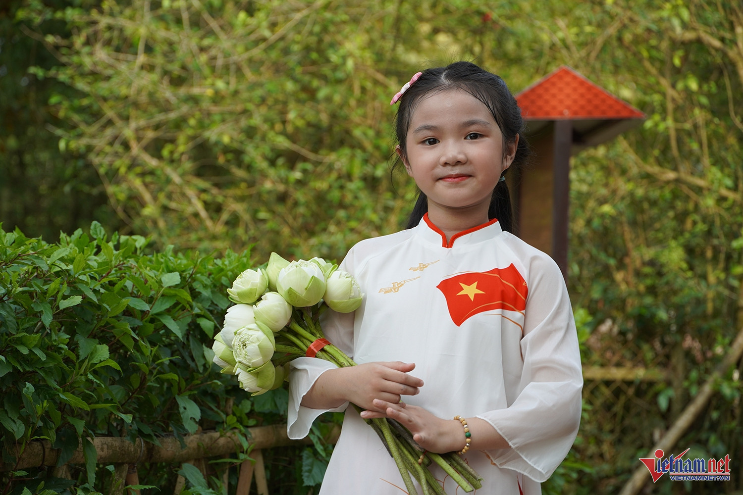 W-sen quê bác.JPG.jpg