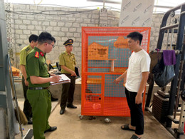 Cá thể khỉ nuôi nhốt trái phép 2.jpg