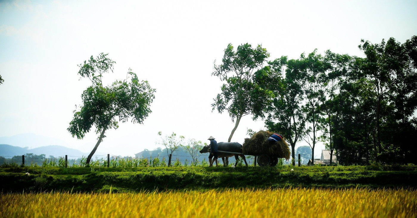 Chi 1,4 tỷ mua đất lúa vì một câu nói, 2 người Hải Phòng chật vật đòi lại tiền