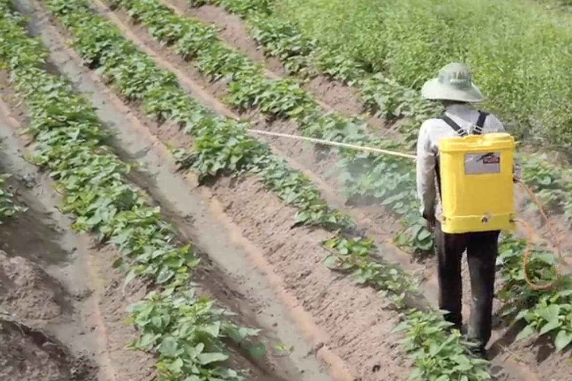 Đẩy mạnh truyền thông để cải thiện sinh kế và nâng cao đời sống người dân