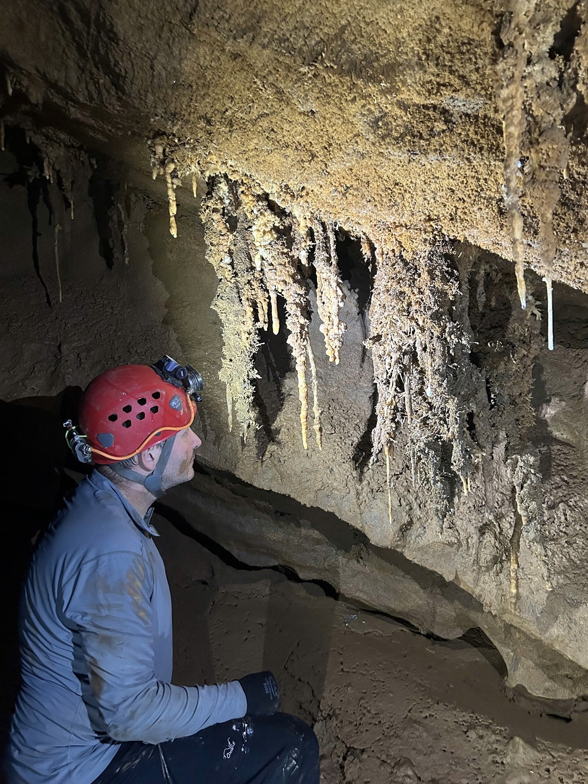 hang chạc đen.jpg