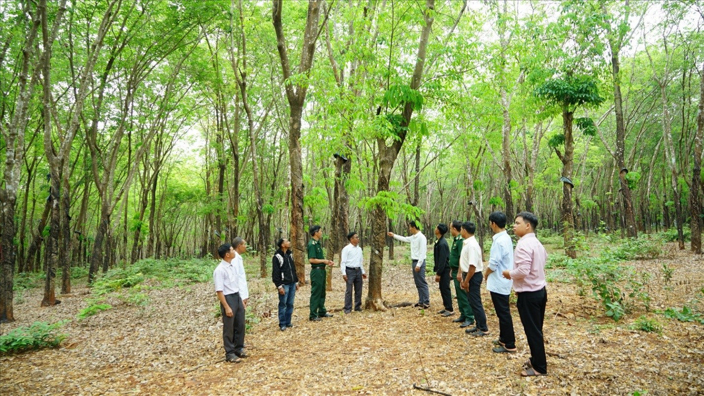 Ngọc Thu ảnh 3.jpg