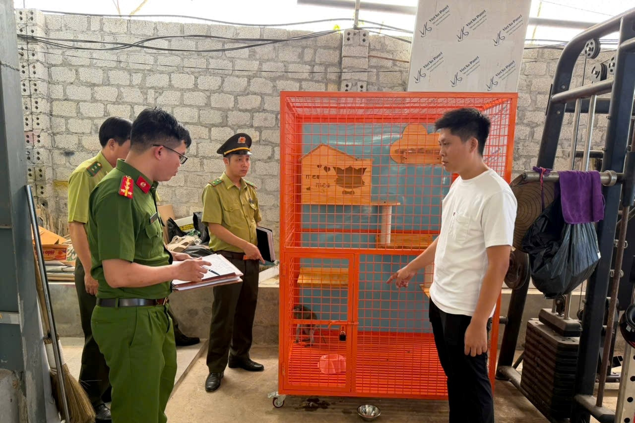Người đàn ông nuôi động vật hoang dã quý hiếm trái phép suốt 4 năm tại nhà