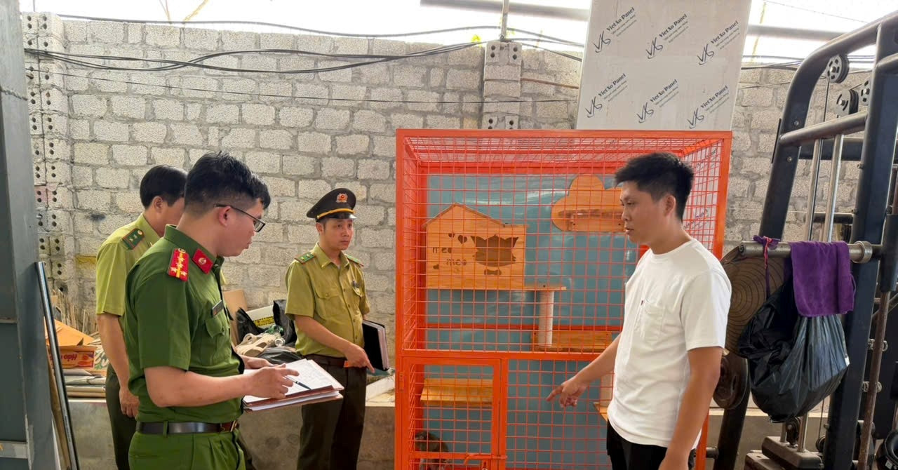 Người đàn ông nuôi động vật hoang dã quý hiếm trái phép suốt 4 năm tại nhà