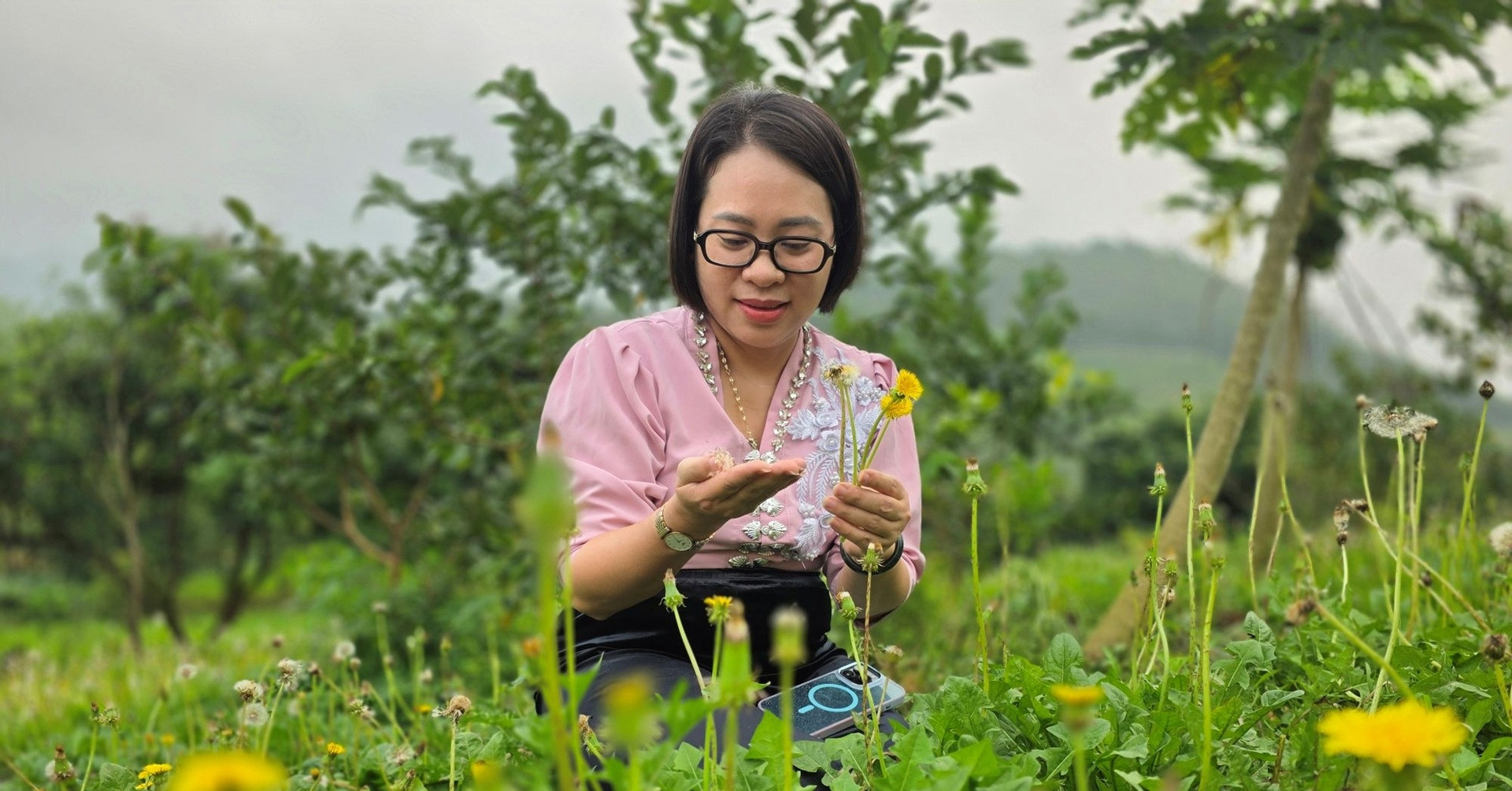 Nữ lang y dân tộc Tày góp phần giữ ‘mạch sống’ thuốc Nam giữa đại ngàn