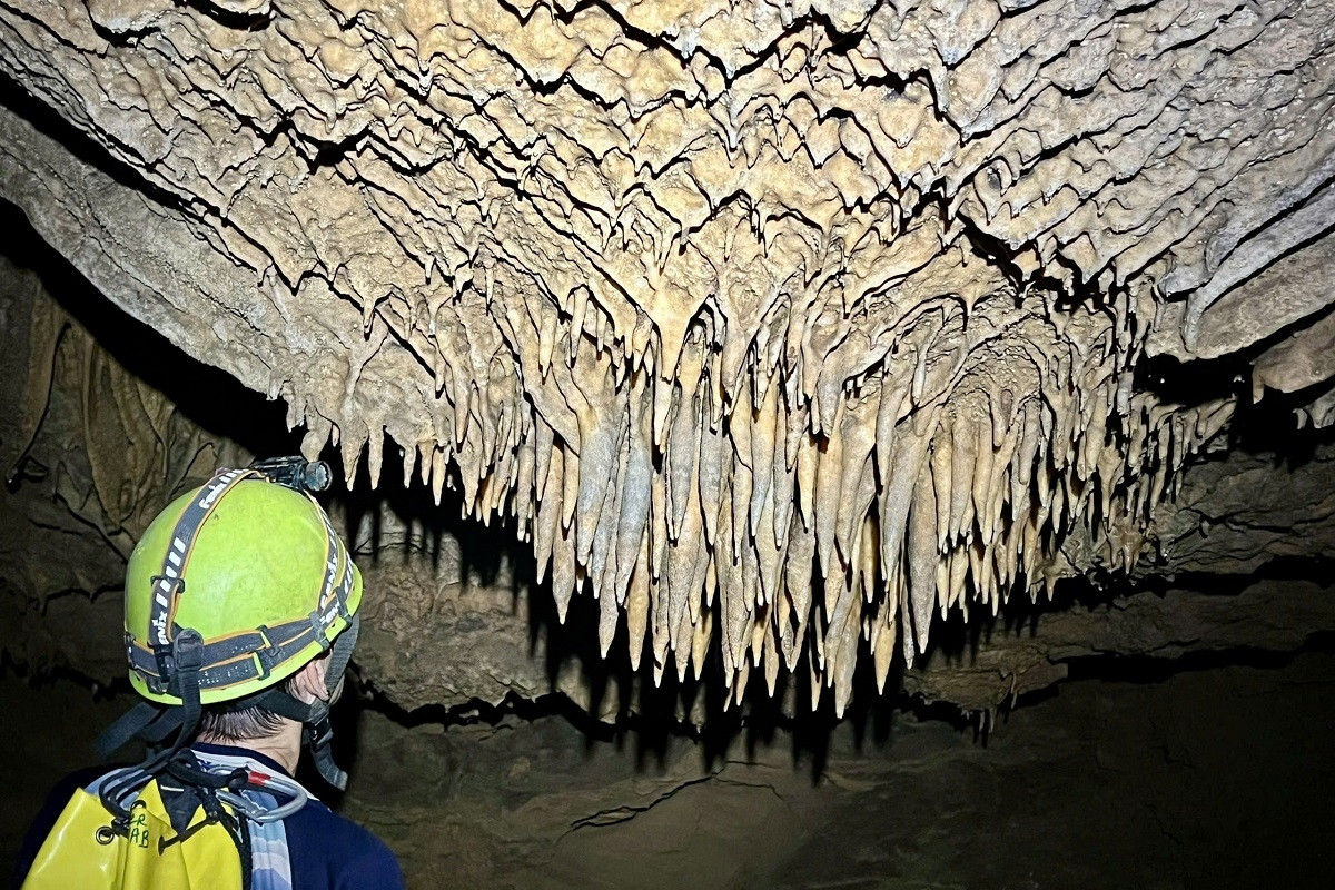  Phát hiện 26 hang động mới ở Phong Nha - Kẻ Bàng, có hang dài hơn 4km 