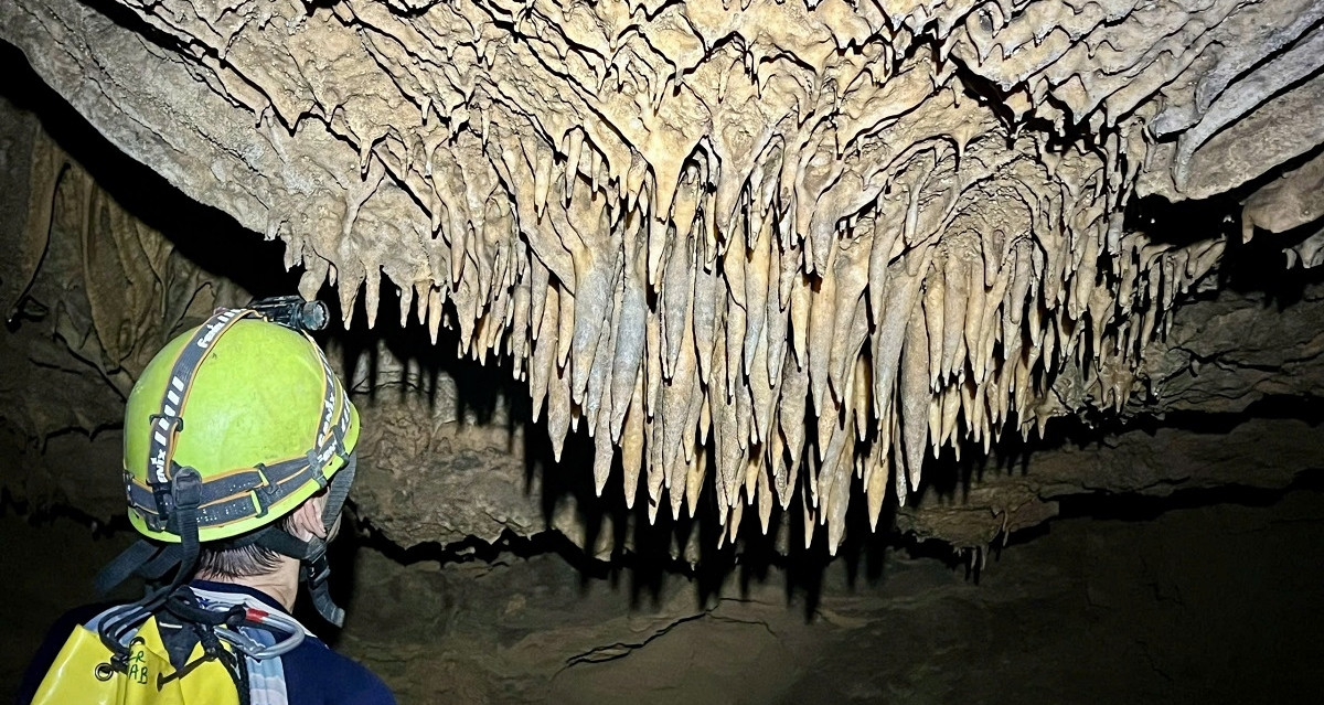 Phát hiện 26 hang động mới ở Phong Nha - Kẻ Bàng, có hang dài hơn 4km