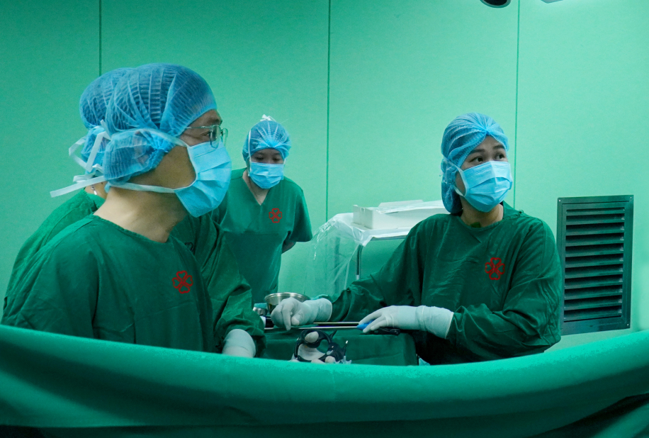 phau thuat bo soi.png