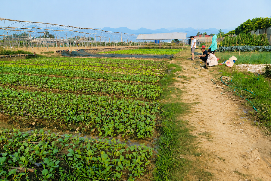 Tân Ân đưa thông tin đến gần dân, nâng cao chất lượng cuộc sống