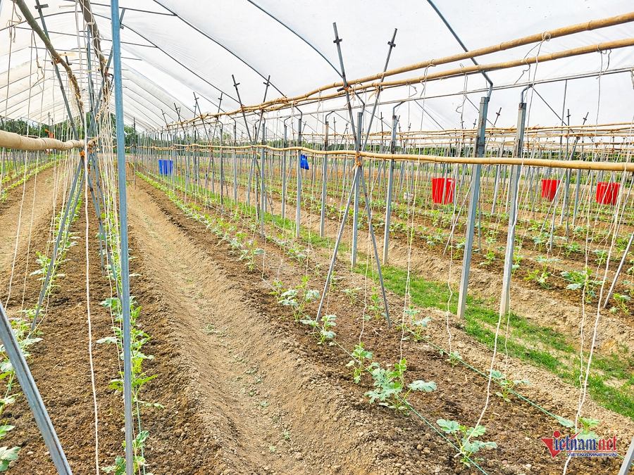 W-05afbcf9 68d3 450b afce d92928a97b85.png