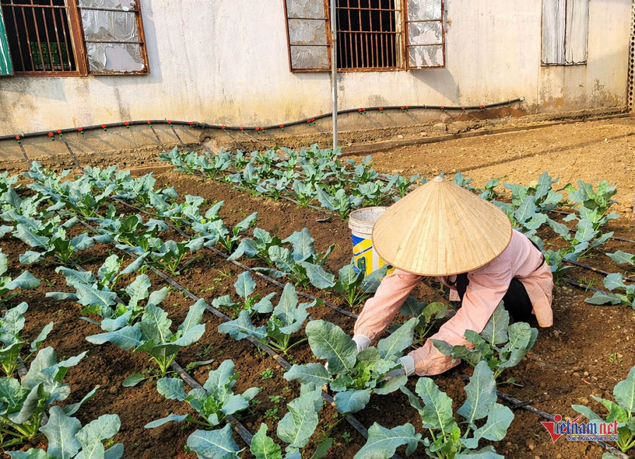 W-34be0fb5 4e08 431d bfbf 98bb05153f66.png