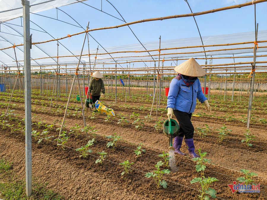 W-34fca955 ac59 41b3 84ab 132be188ccbc.png