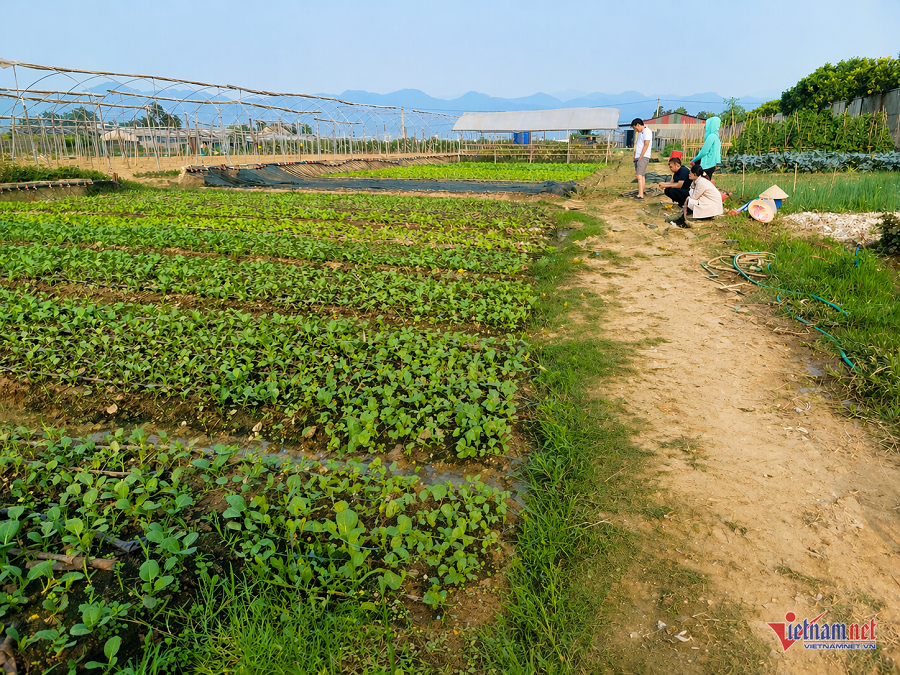 W-63e3a454 d7c0 4796 8477 b8c9b69732d9.png