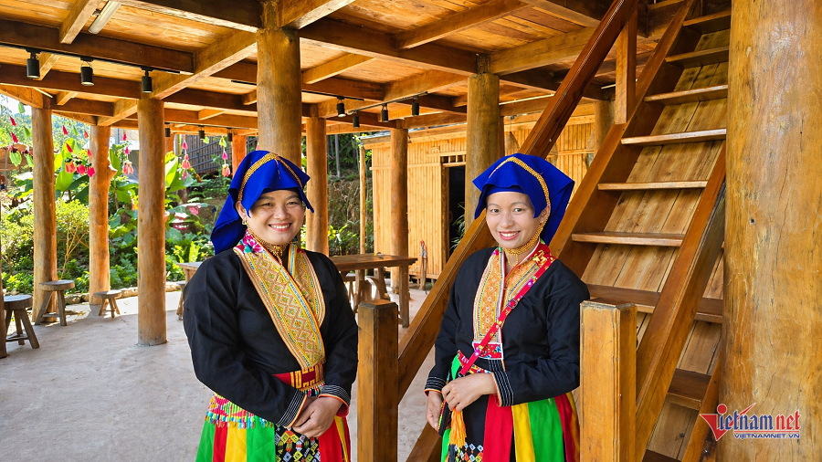 W-d82f9a0d 08fa 4251 a0ea 11628922d465.png