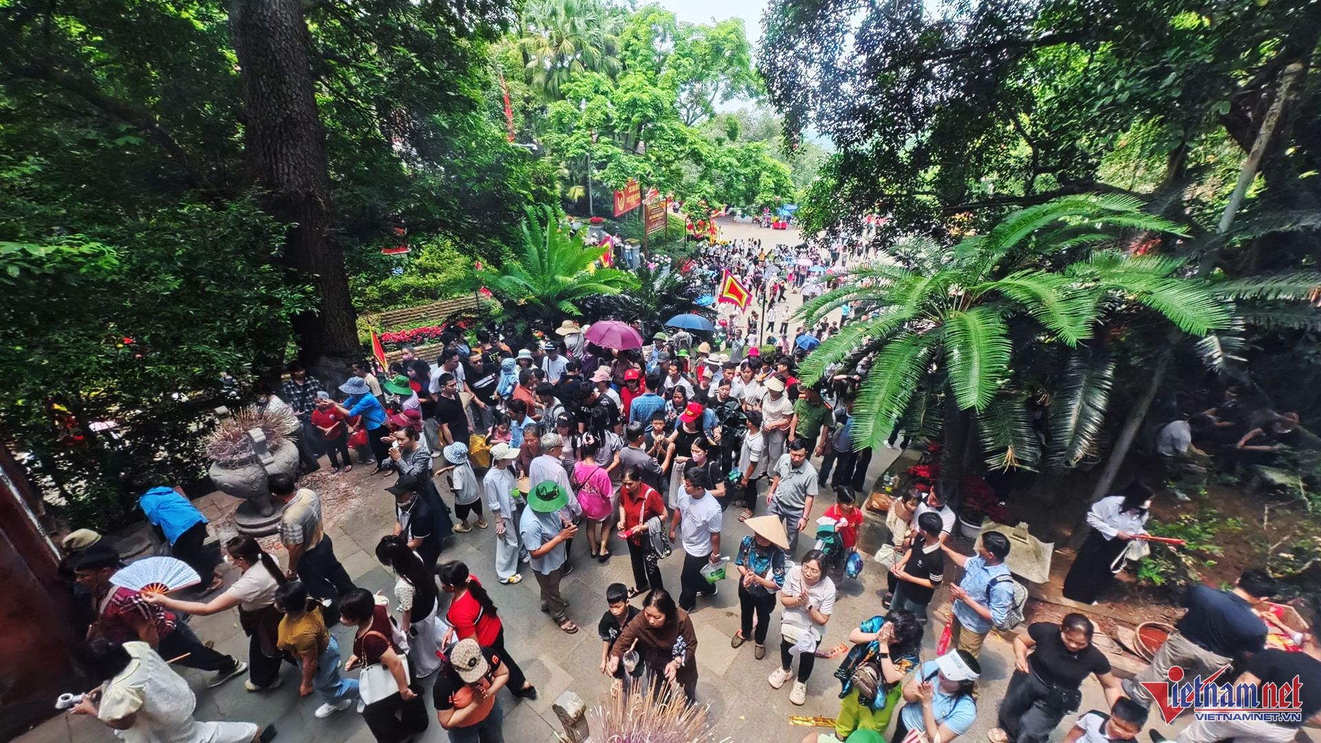 W-hanh huong DH 29.jpg