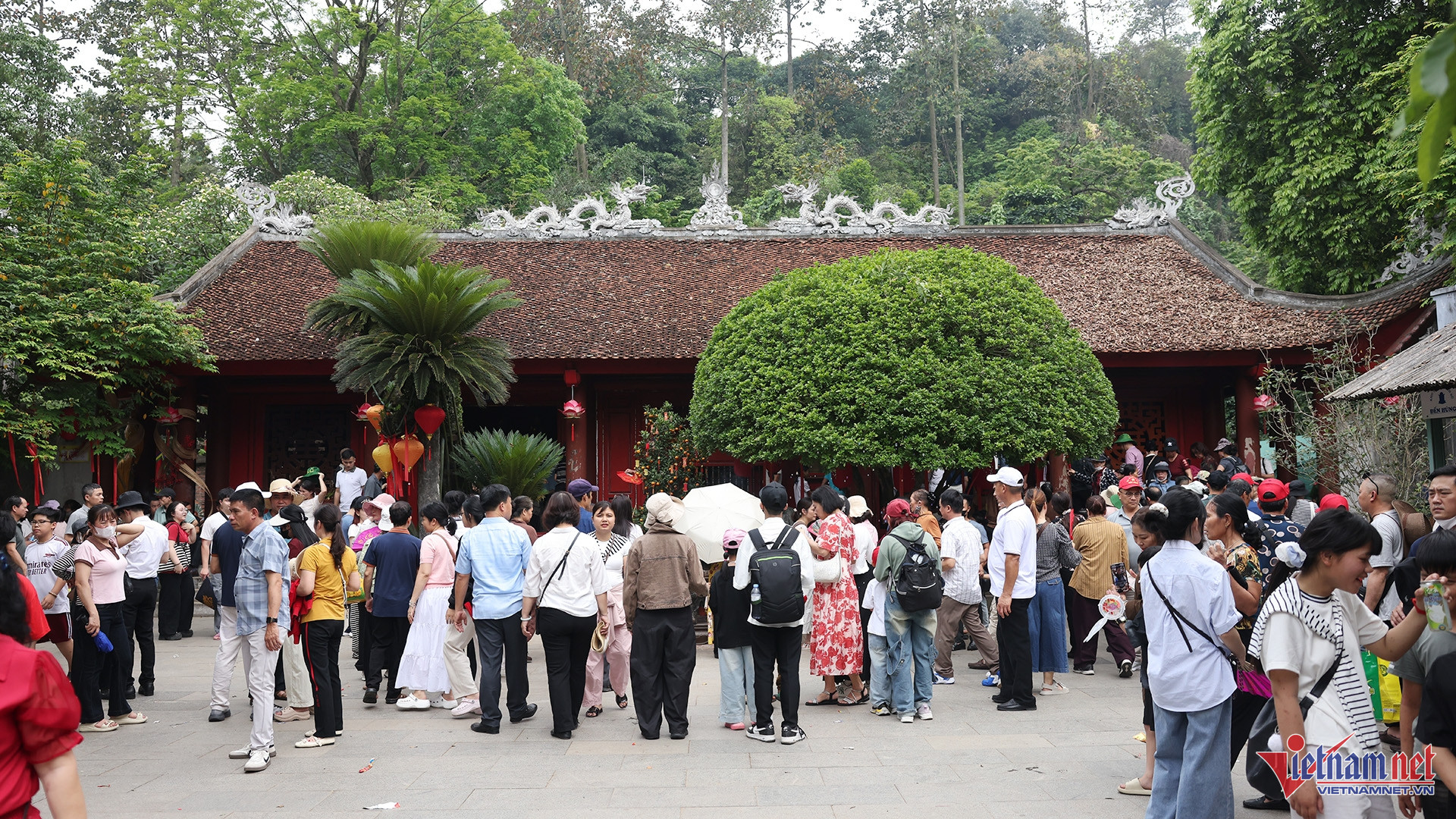 W-hanh huong DH 6.jpg