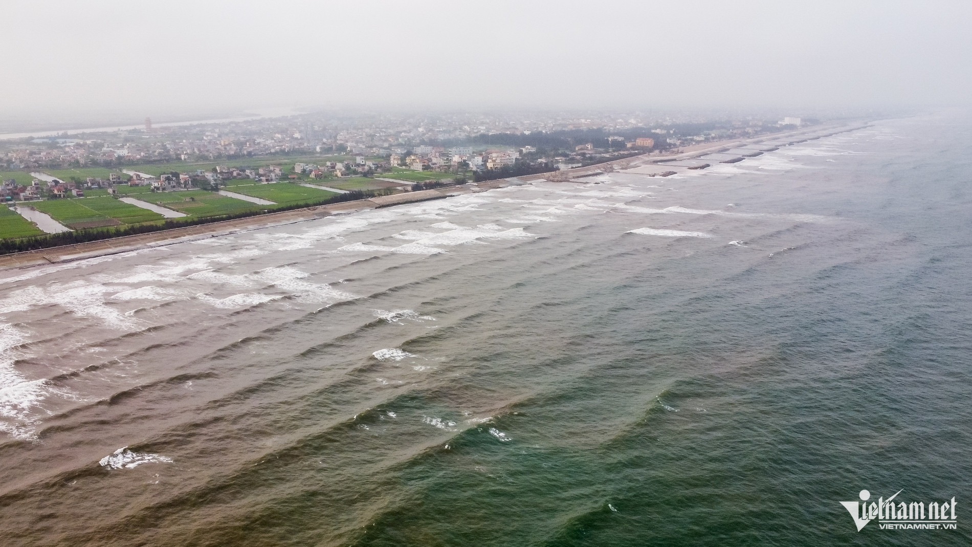 W-Thịnh Long DL.jpg