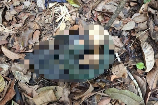 Bản tin trưa 26/4: Phát hiện bộ xương người trong vườn quốc gia