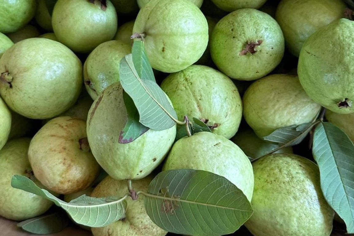 5 nhóm người nên ăn ổi hàng ngày