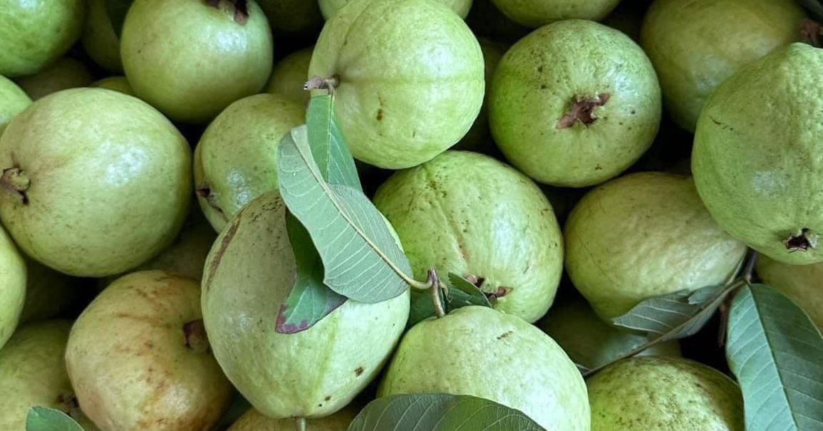 5 nhóm người nên ăn ổi hàng ngày