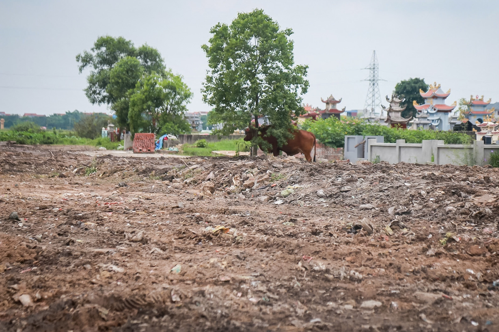 Bãi rác tự phát 20 năm sát nghĩa trang ở Ninh Bình đã được dọn dẹp