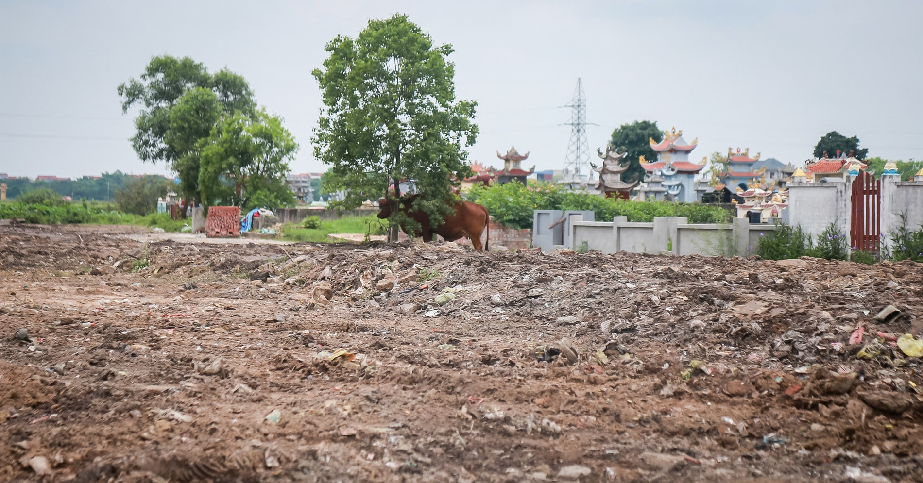 Bãi rác tự phát 20 năm sát nghĩa trang ở Ninh Bình đã được dọn dẹp