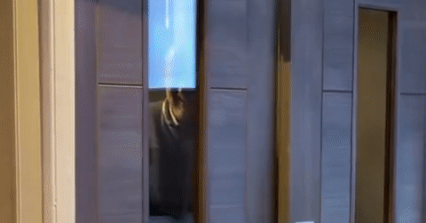 Cặp đôi 'chị em' biến tiệc sinh nhật thành đám cưới khiến người thân đứng hình