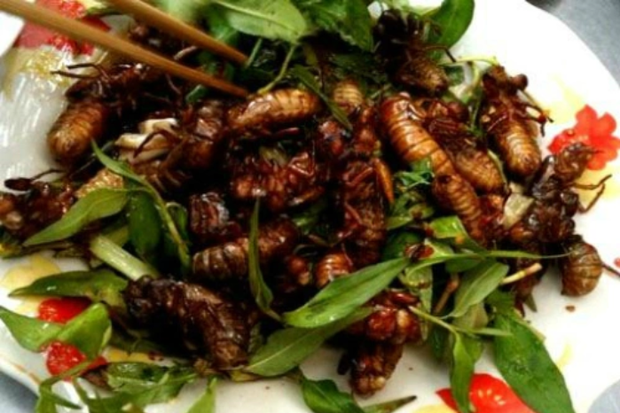 Nam sinh 17 tuổi cấp cứu lúc nửa đêm sau khi ăn 2 con ve sầu