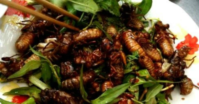 Nam sinh 17 tuổi cấp cứu lúc nửa đêm sau khi ăn 2 con ve sầu