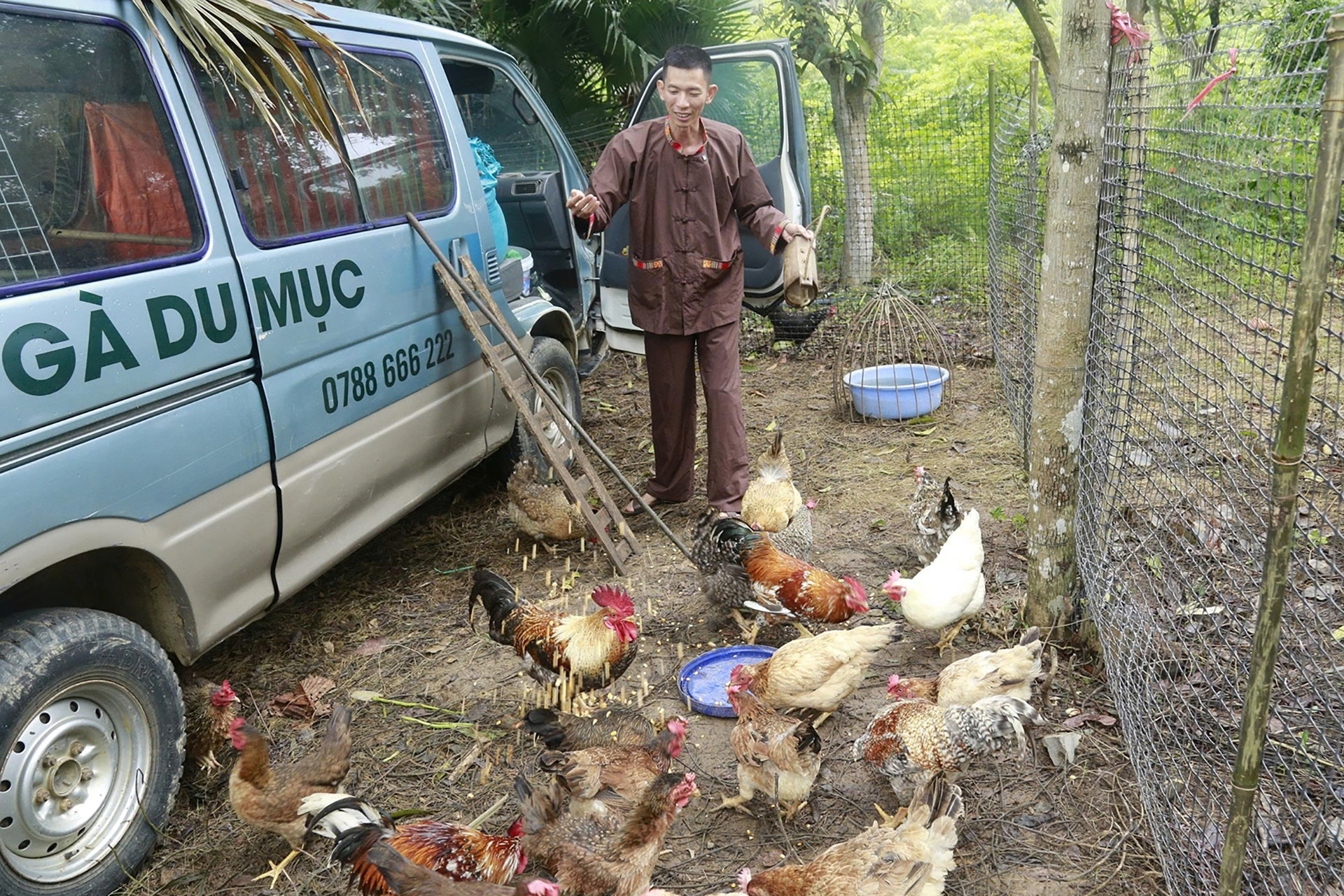 Người đàn ông mang gà chín cựa về Lễ hội Đền Hùng, tiết lộ điều đặc biệt