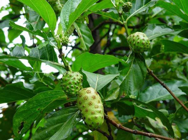 photo 1657644383745 16576443849952049708017.webp