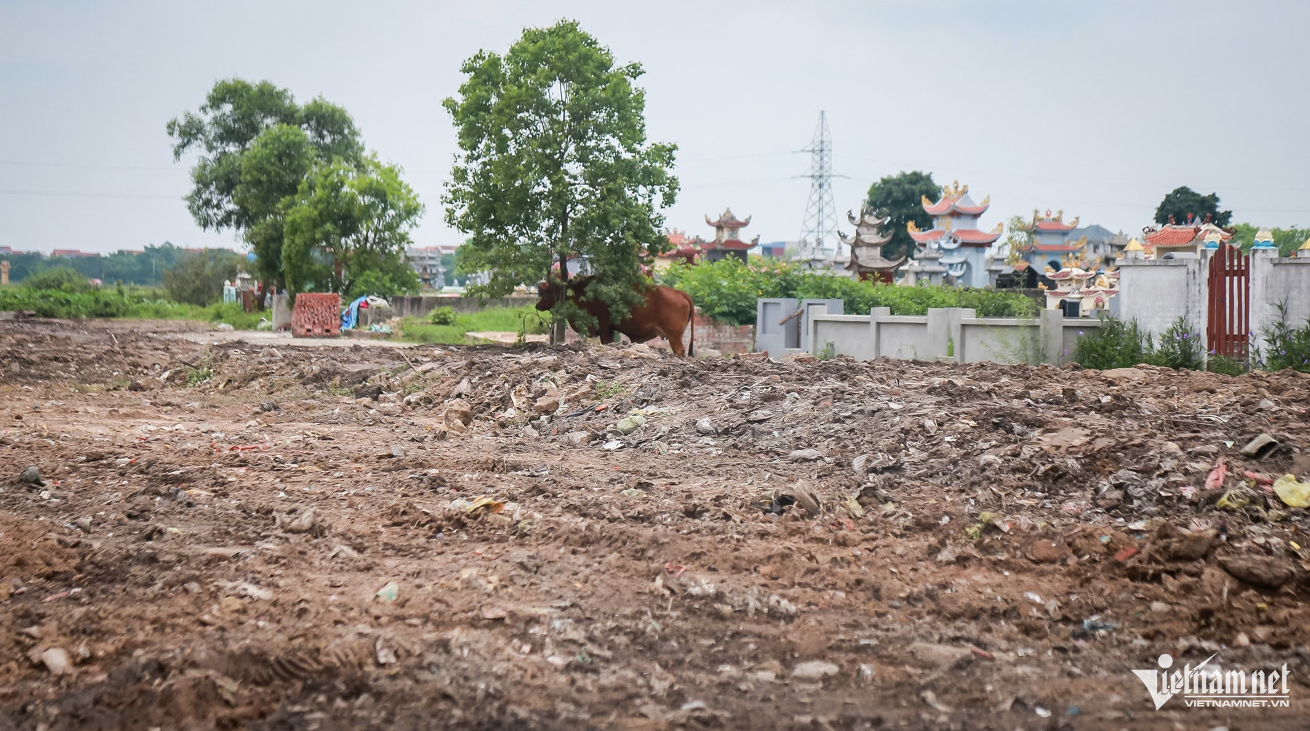 W-bãi rác _4.jpg