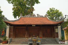 W-cây đa di sản.JPG.jpg