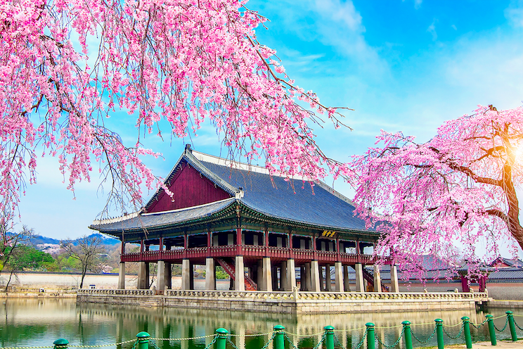 Du khách bị cấm mang gì khi nhập cảnh Hàn Quốc?