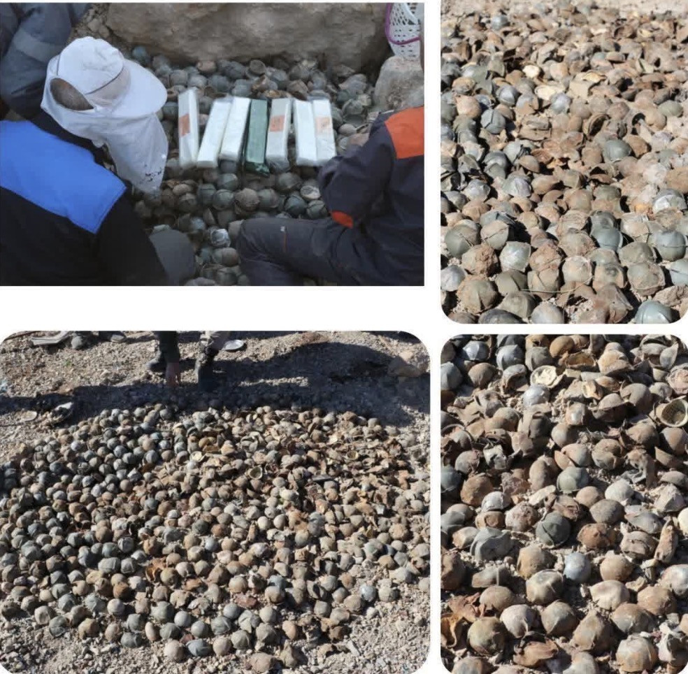 Iran phá bom mìn. Ảnh: Tasnim