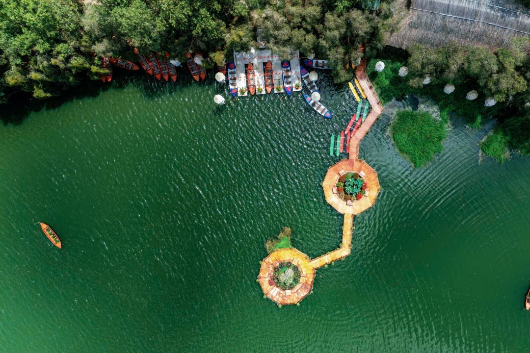 Khu Bảo tồn Đồng Tháp Mười - điểm đến cân bằng giữa vận động và nghỉ ngơi